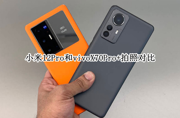 小米12Pro和vivoX70Pro+拍照对比