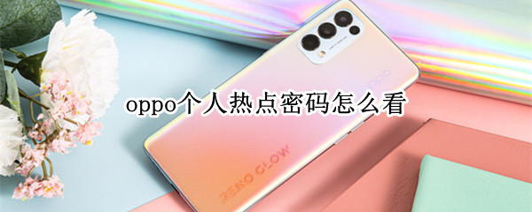 oppo个人热点密码怎么看