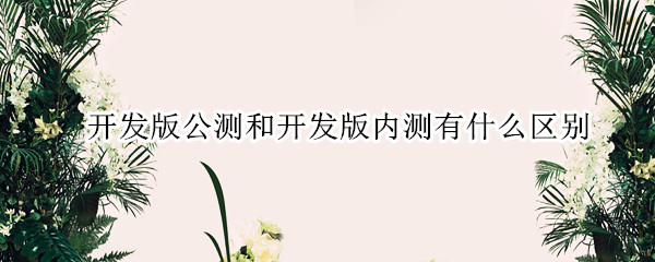 开发版公测和开发版内测有什么区别
