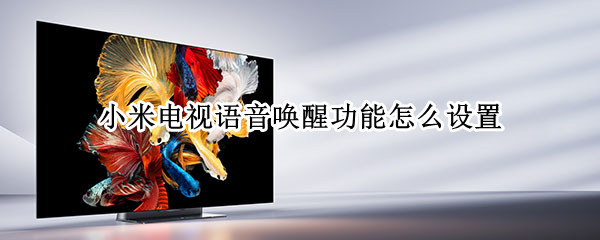 小米电视语音唤醒功能怎么设置