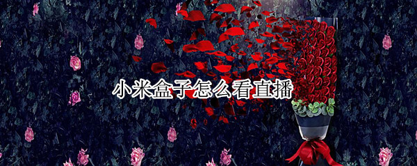 小米盒子怎么看直播