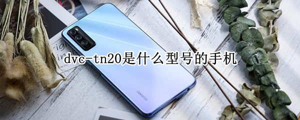 dvc-tn20是什么型号的手机