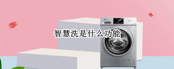 智慧洗是什么功能