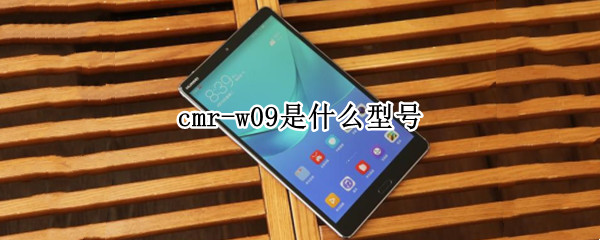 cmr-w09是什么型号