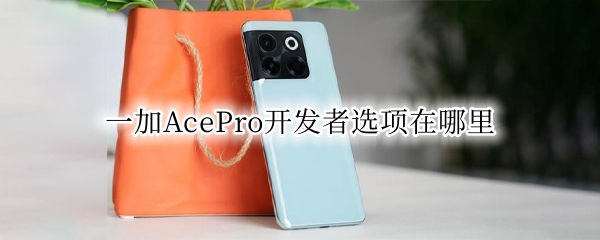 一加AcePro开发者选项在哪里