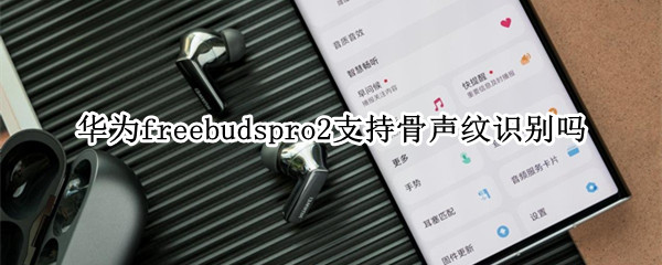 华为freebudspro2支持骨声纹识别吗