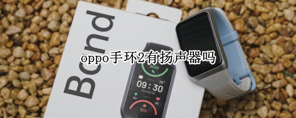 oppo手环2有扬声器吗