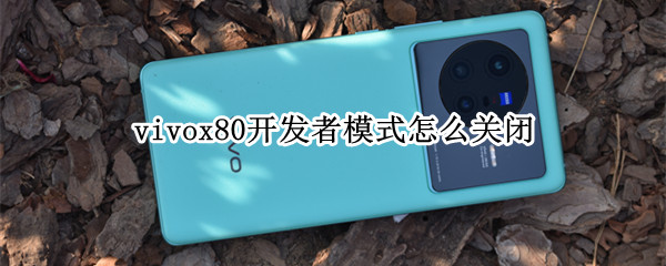 vivox80开发者模式怎么关闭