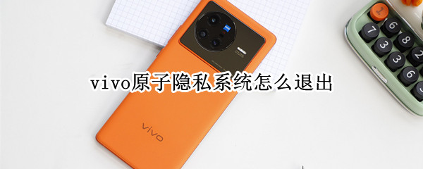 vivo原子隐私系统怎么退出