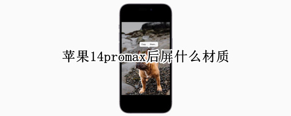 苹果14promax后屏什么材质