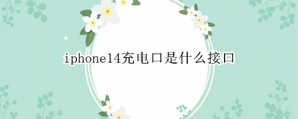 iphone14充电口是什么接口