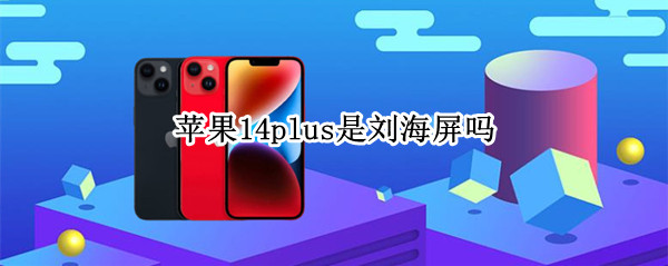 苹果14plus是刘海屏吗