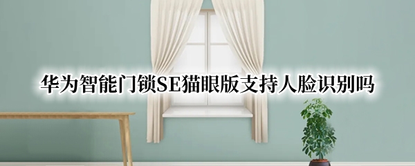 华为智能门锁SE猫眼版支持人脸识别吗