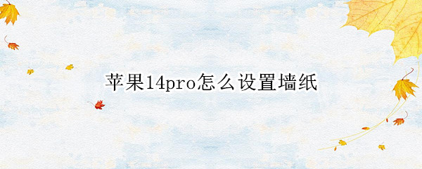 苹果14pro怎么设置墙纸