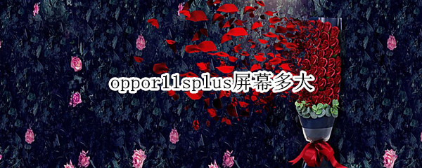 oppor11splus屏幕多大
