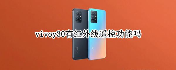 vivoy30有红外线遥控功能吗