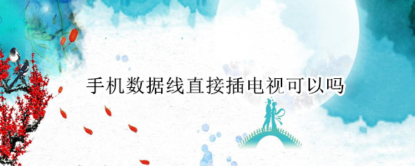 手机数据线直接插电视可以吗