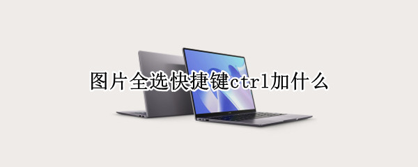 图片全选快捷键ctrl加什么
