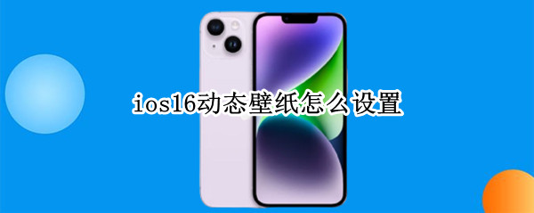 ios16动态壁纸怎么设置