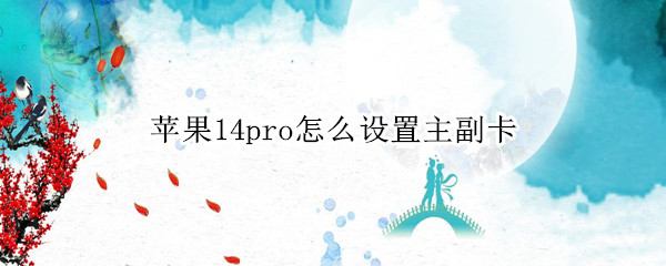 苹果14pro怎么设置主副卡