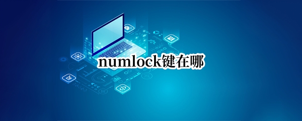 numlock键在哪