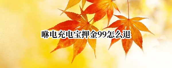 咻电充电宝押金99怎么退