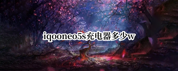iqooneo5s充电器多少w