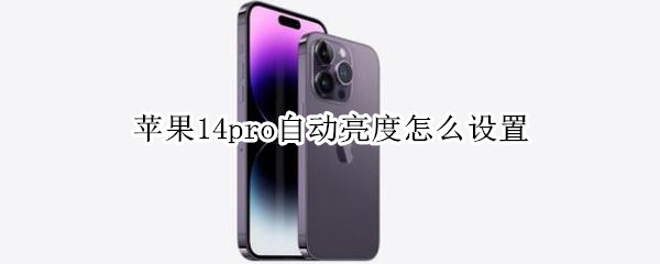 苹果14pro自动亮度怎么设置