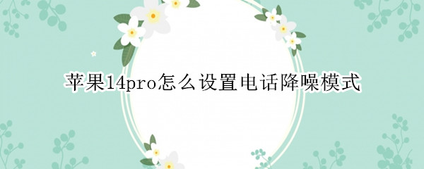 苹果14pro怎么设置电话降噪模式
