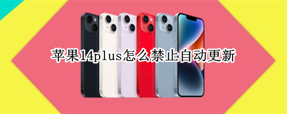 苹果14plus怎么禁止自动更新