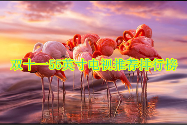 双十一55英寸电视推荐排行榜