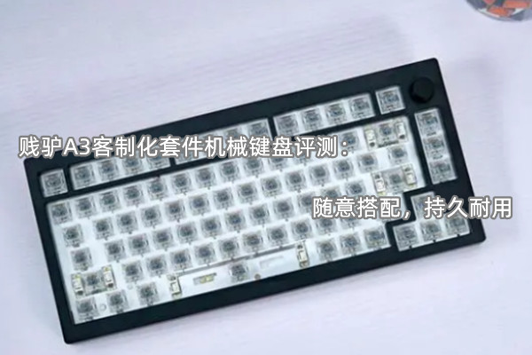 贱驴A3客制化套件机械键盘评测：随意搭配，持久耐用