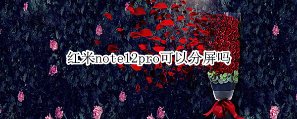 红米note12pro可以分屏吗