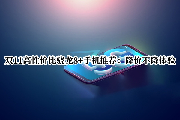 双11高性价比骁龙8+手机推荐：降价不降体验