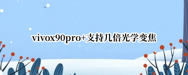 vivox90pro+支持几倍光学变焦