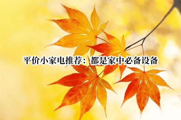 平价小家电推荐：都是家中必备设备