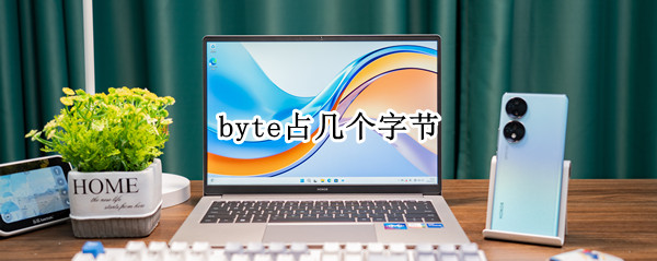 byte占几个字节