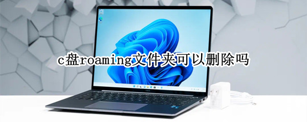 c盘roaming文件夹可以删除吗