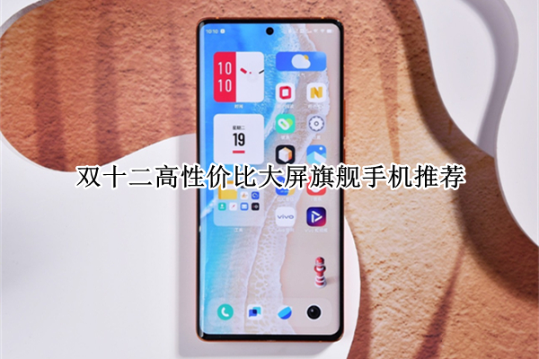 双十二高性价比大屏旗舰手机推荐