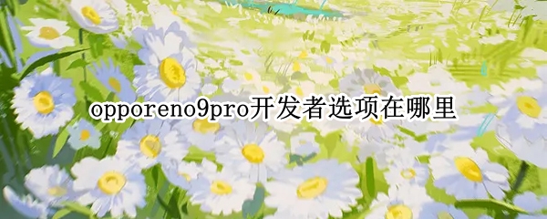 opporeno9pro开发者选项在哪里