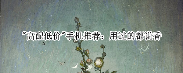 "高配低价"手机推荐：用过的都说香