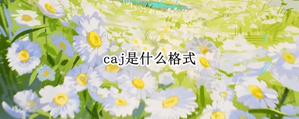 caj是什么格式