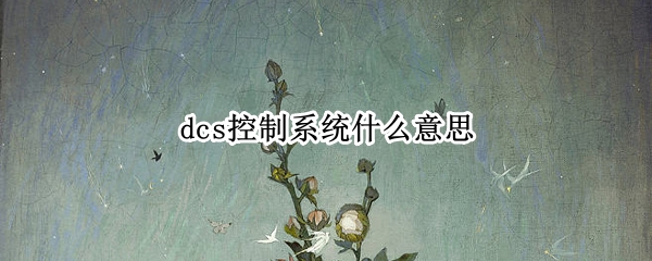 dcs控制系统什么意思