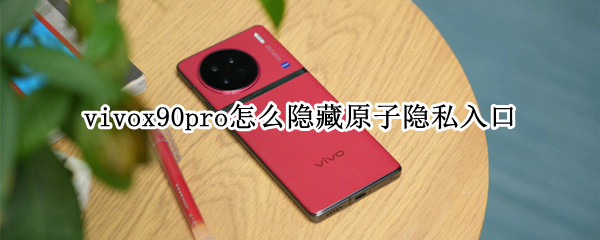 vivox90pro怎么隐藏原子隐私入口