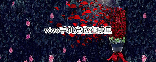 vivo手机定位在哪里