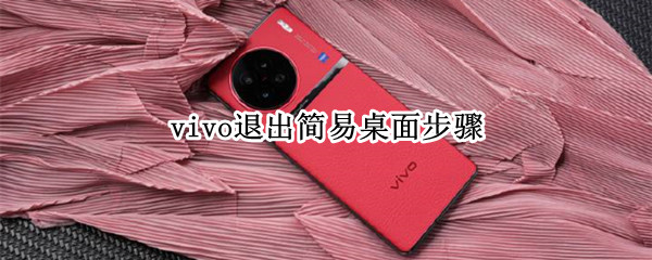 vivo退出简易桌面步骤