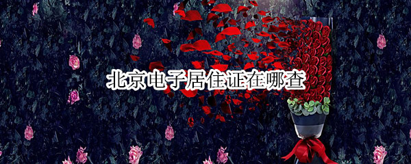 北京电子居住证在哪查