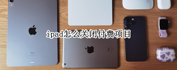 ipad怎么关闭付费项目