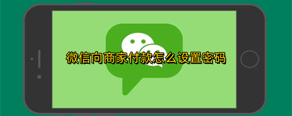 微信向商家付款怎么设置密码