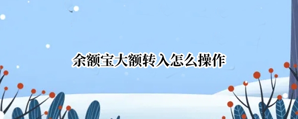 余额宝大额转入怎么操作